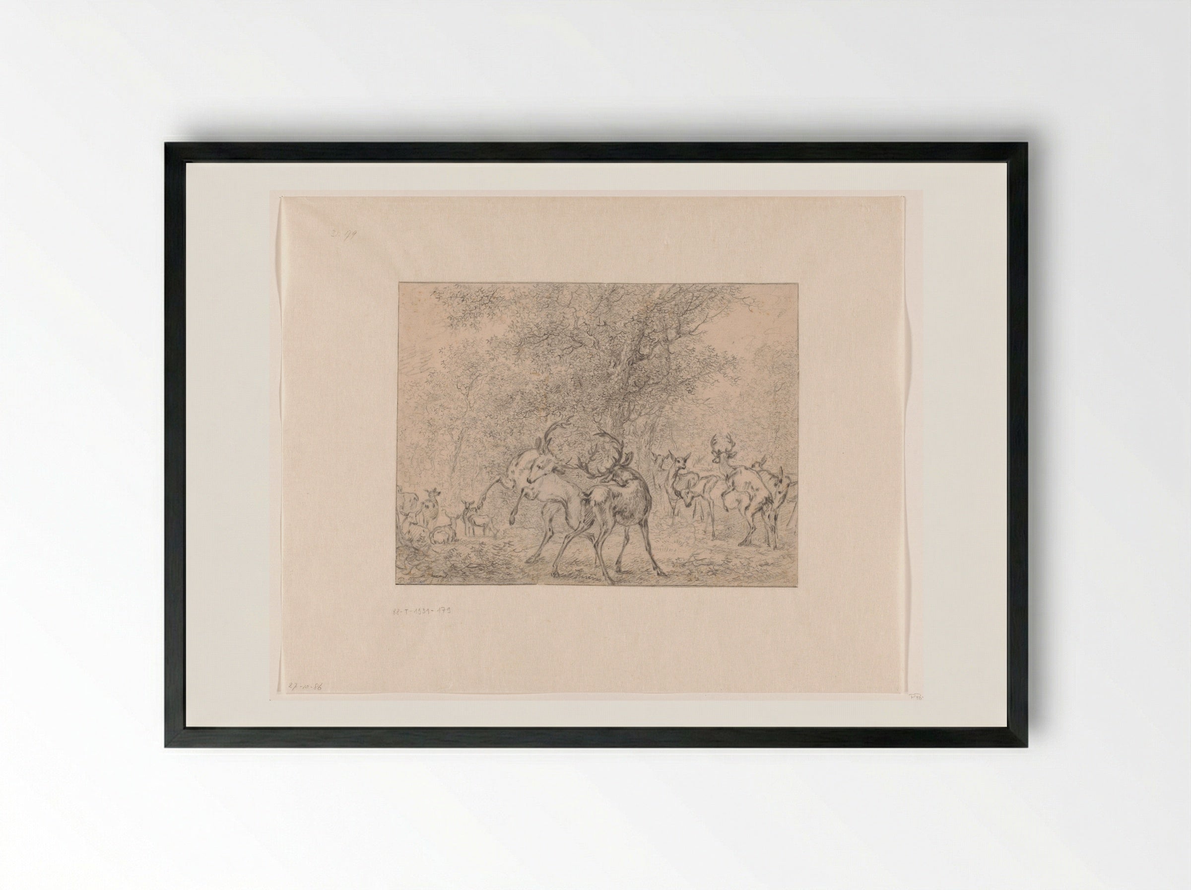 Group of Deer in a Forest - Paulus Potter - Framed Print Black