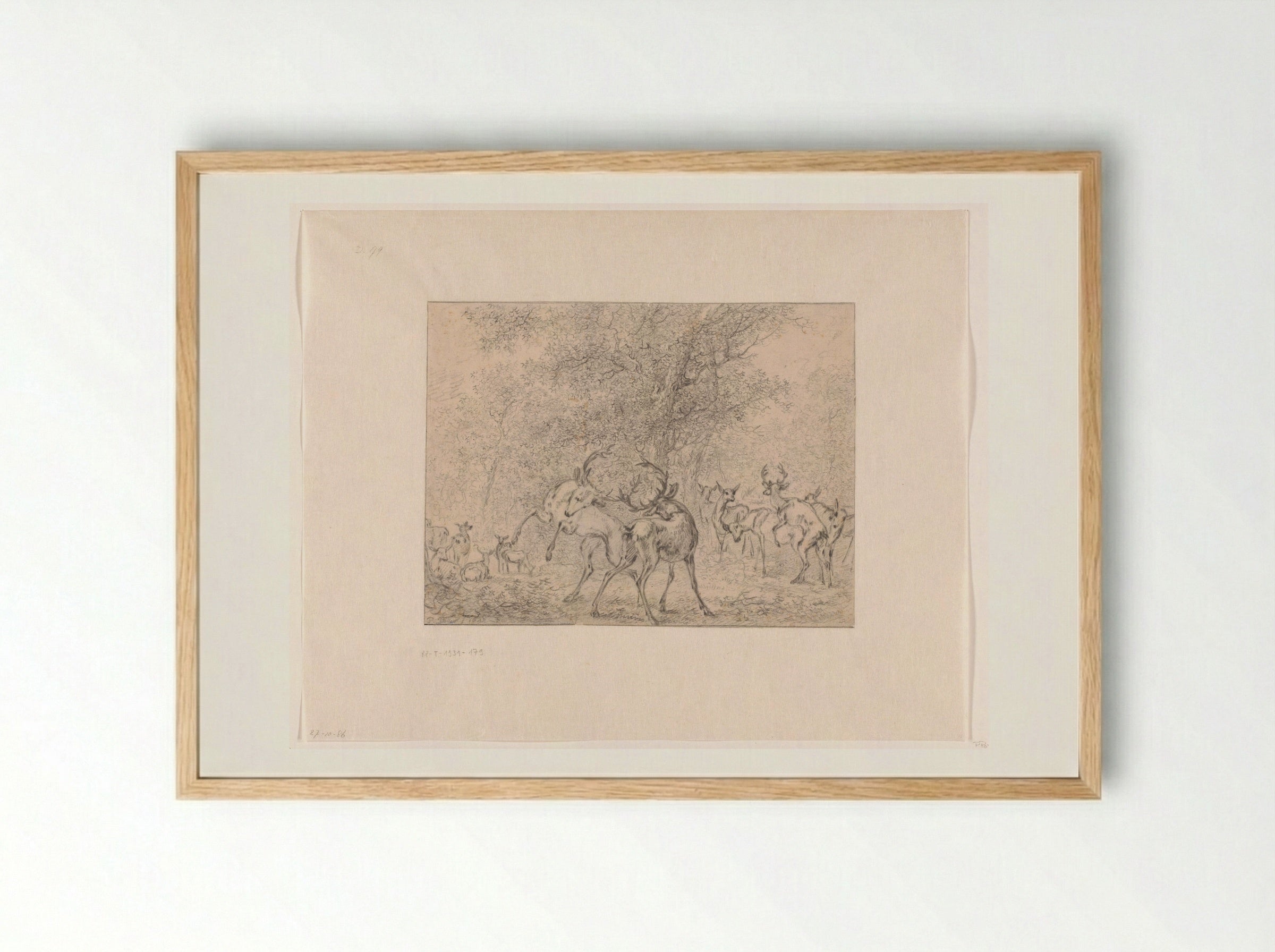 Group of Deer in a Forest - Paulus Potter - Framed Print Wood