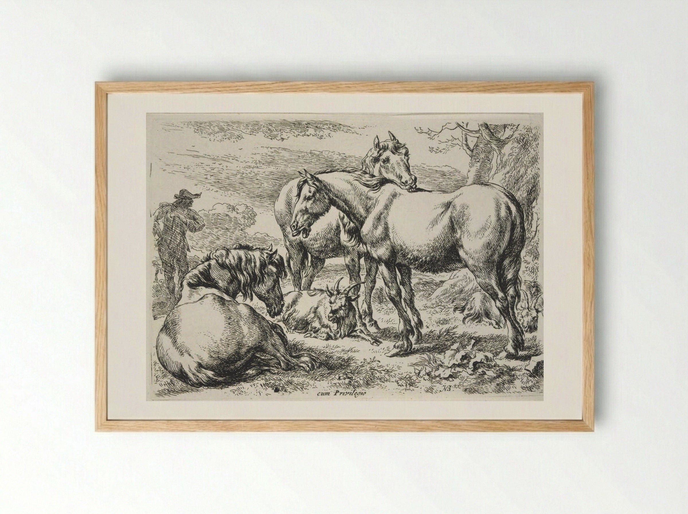 Group of Horses - Nicolaes Berchem - Framed Print Wood