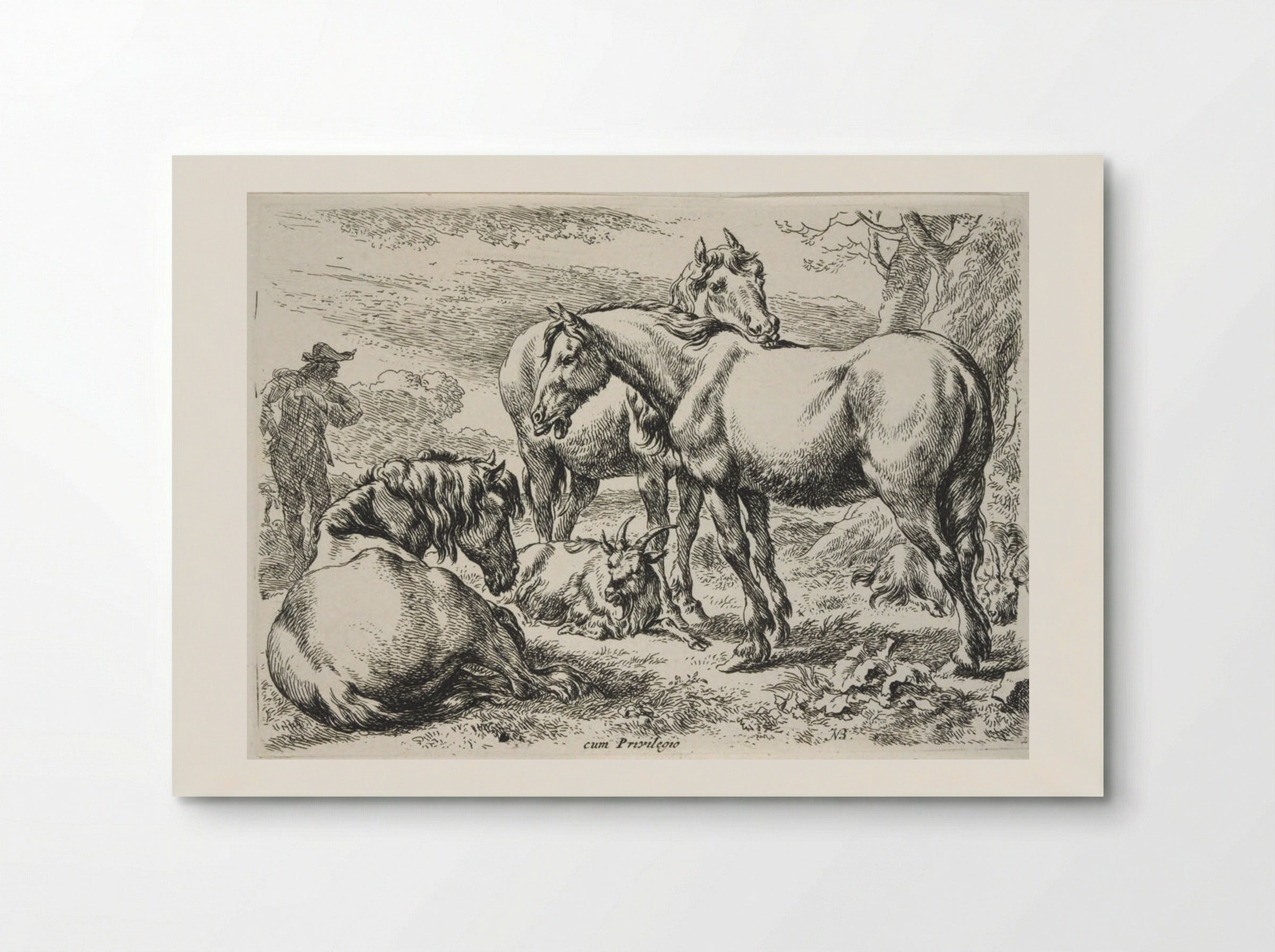 Group of Horses - Nicolaes Berchem - Poster