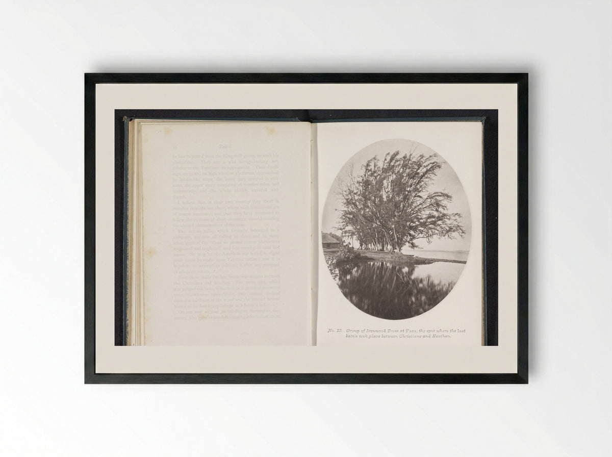 Group of Ironwood Trees at Paea, Tahiti - Henry Stuart-Wortley - Framed Print Black
