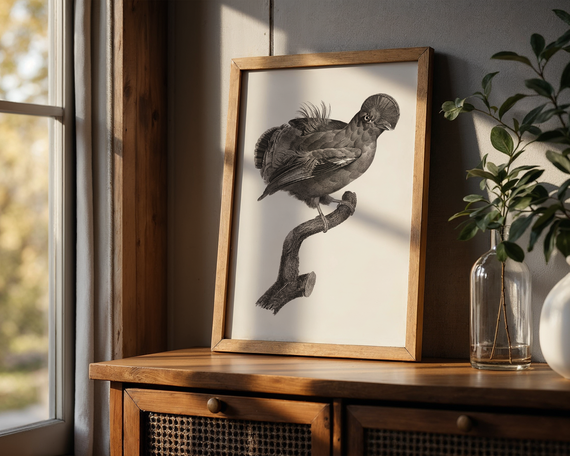 Guianan-cock-of-the-rock,-male-from-Histoire-Naturelle-des-Oiseaux-de-Paradis-et-Des-Rolliers-(1806)-by-Jacques-Barraband_final mockup