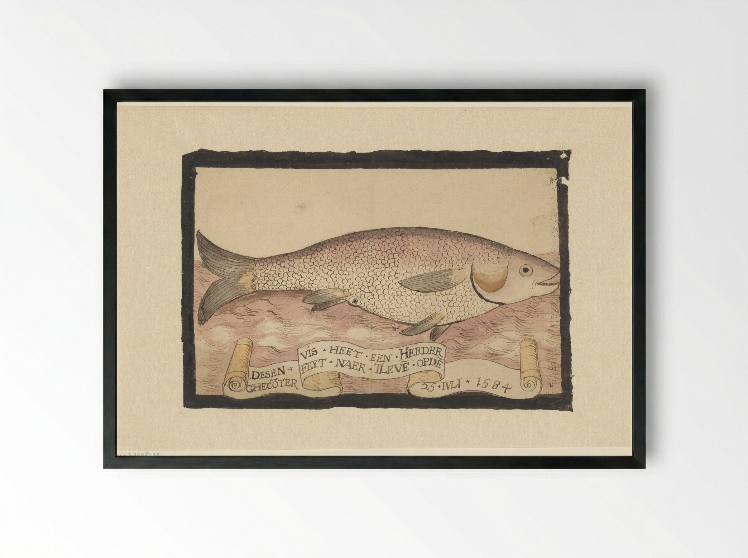 Harder (Mullet) - Adriaen Coenen - Framed Print Black