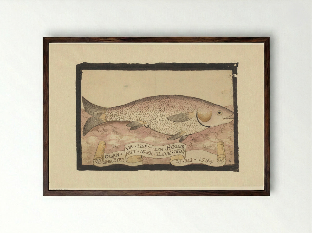 Harder (Mullet) - Adriaen Coenen - Framed Print Dark Wood