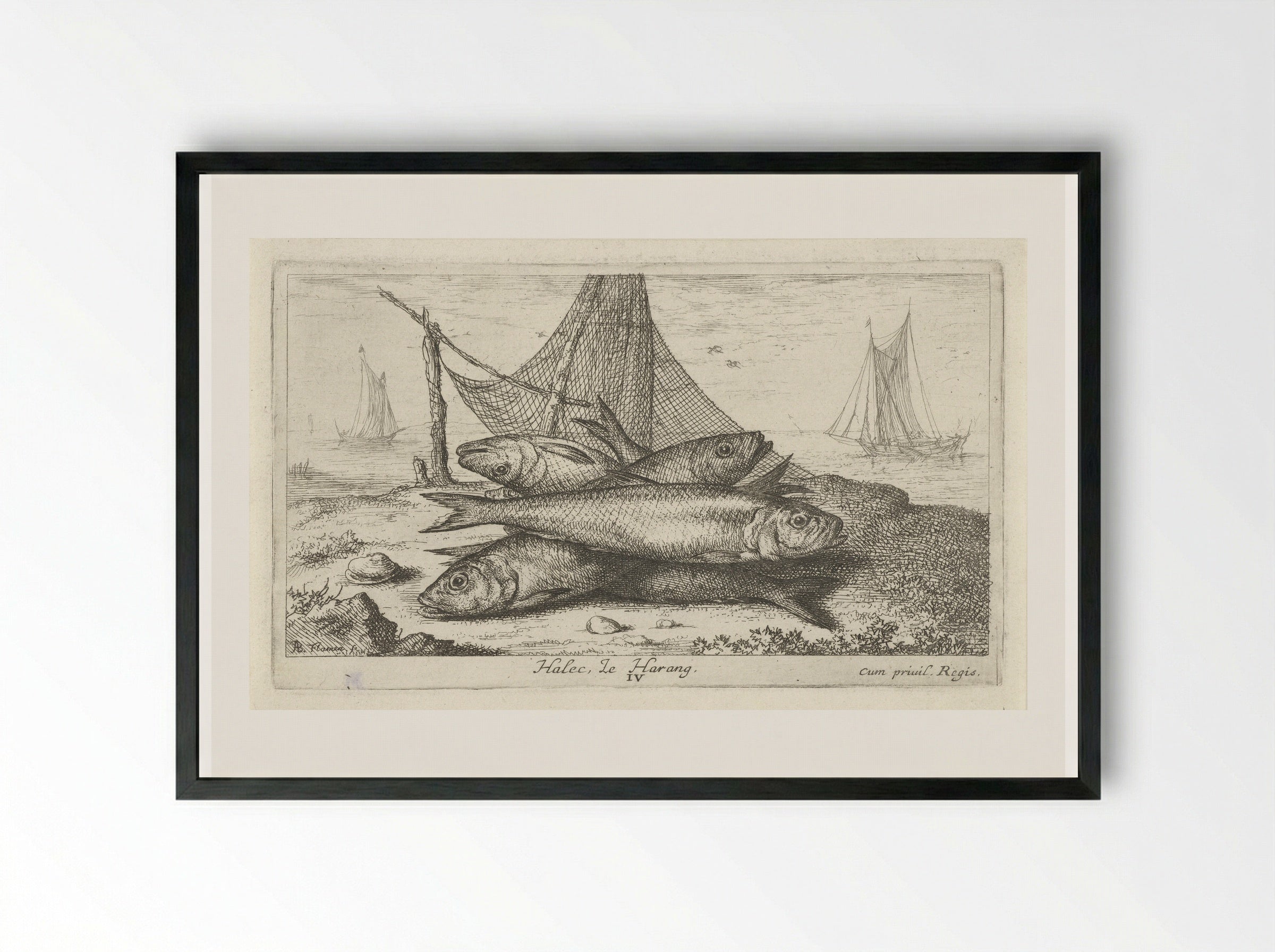 Haringen bij een visnet - Albert Flamen - Framed Print Black