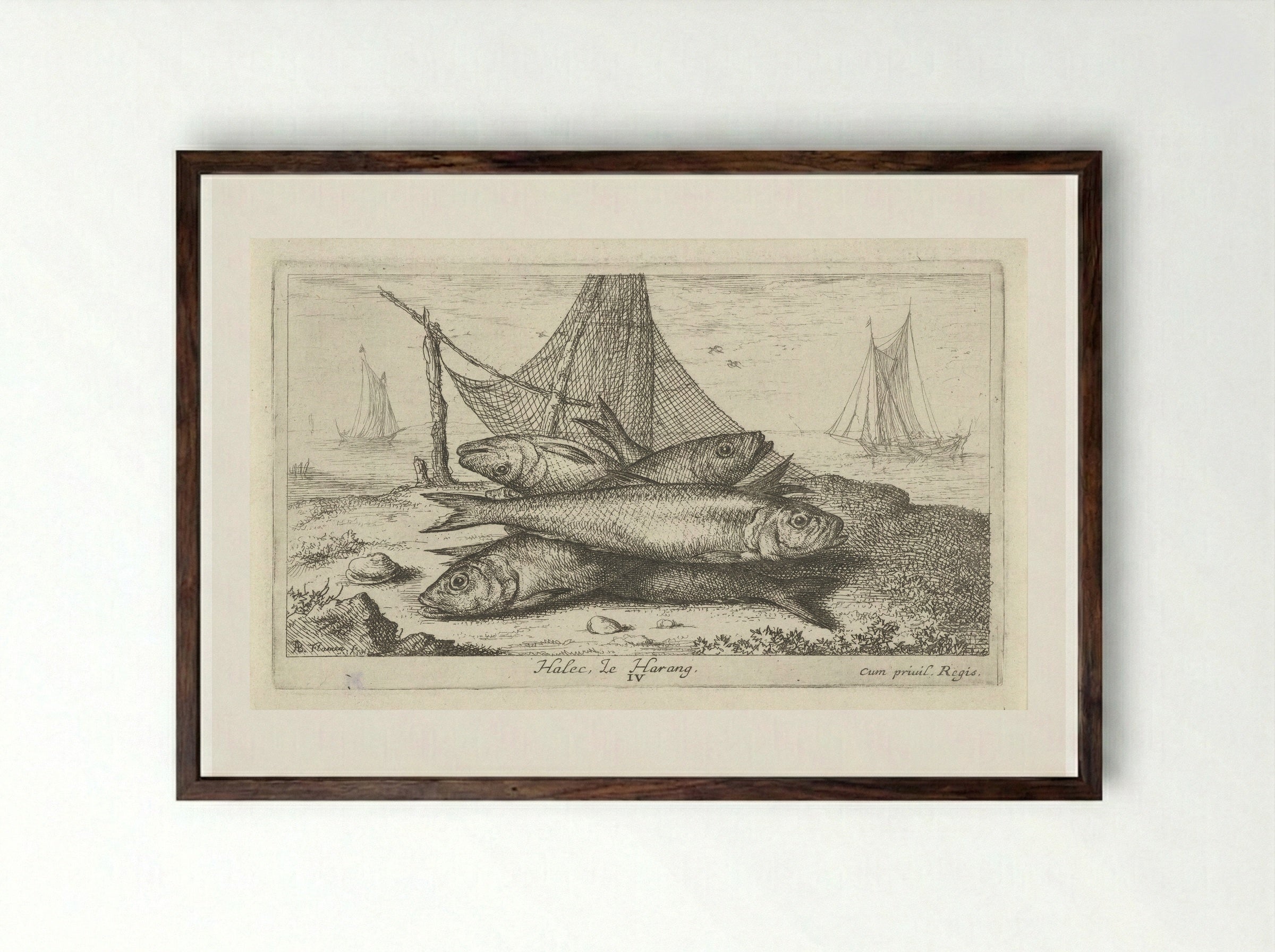 Haringen bij een visnet - Albert Flamen - Framed Print Dark Wood