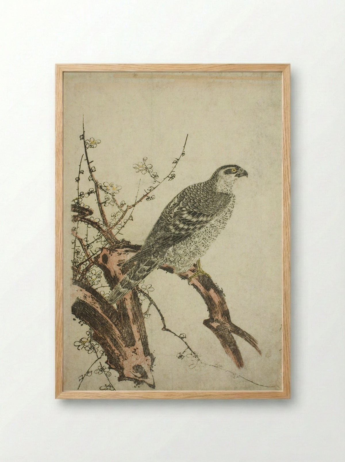 Hawk on a Plum Branch - Kitagawa Utamaro - Framed Print Wood