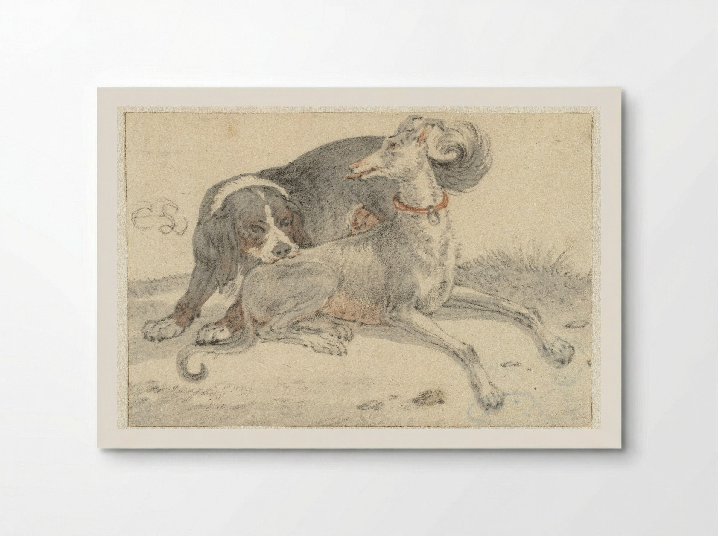 Hazewindhond en een spaniël - Cornelis Saftleven - Poster