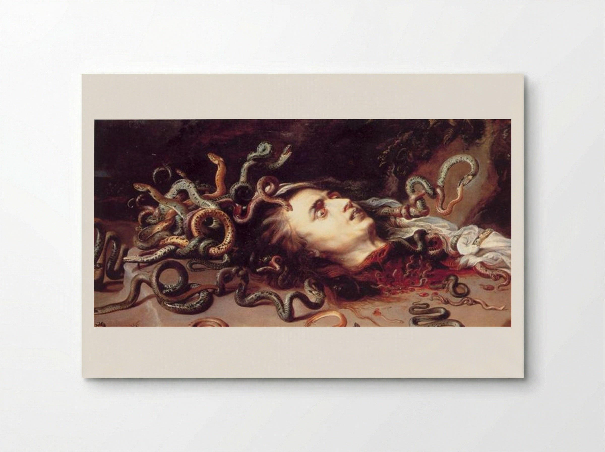 Head of Medusa - Frans Snyders - Poster