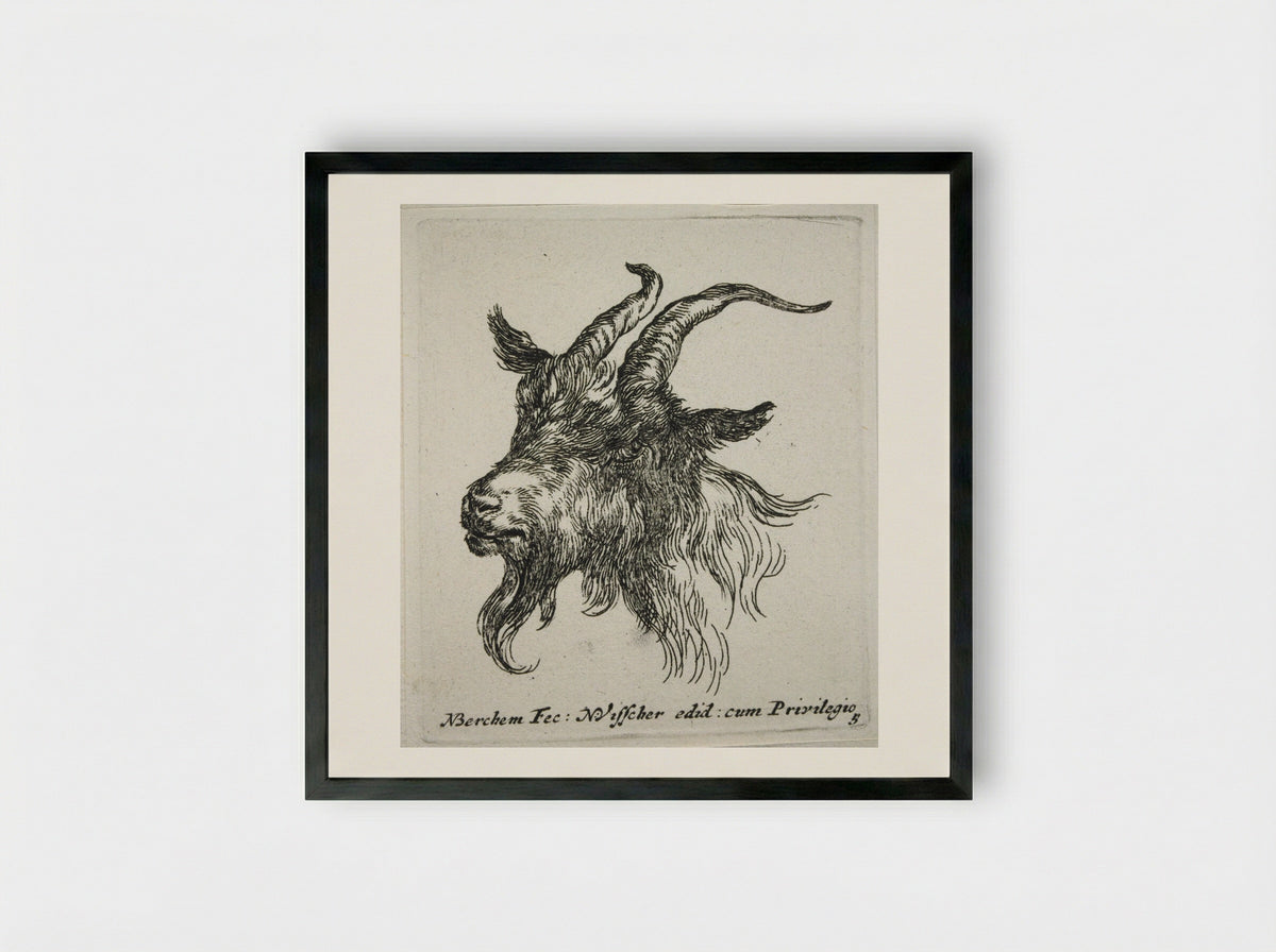 Head of a Goat Looking Forward and Left - Nicolaes Berchem - Framed Print Black