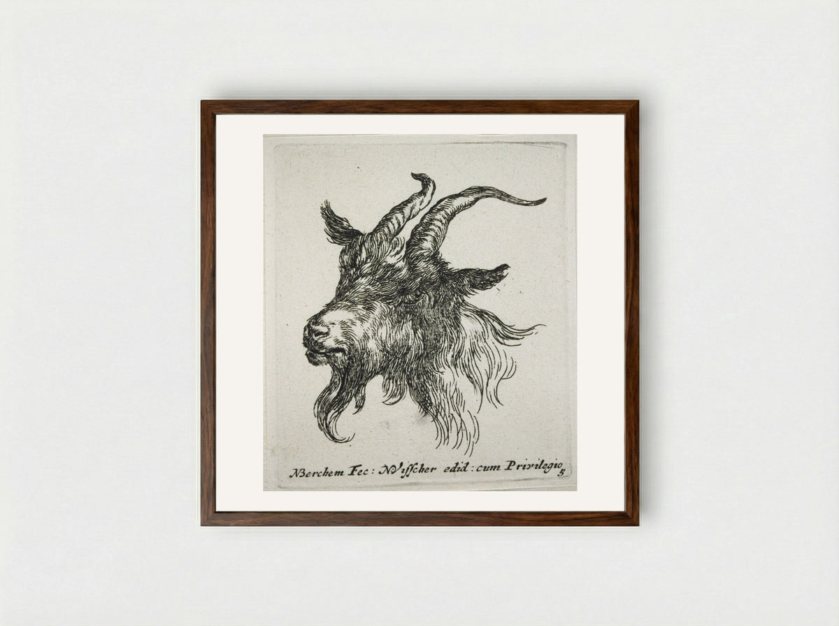 Head of a Goat Looking Forward and Left - Nicolaes Berchem - Framed Print Dark Wood