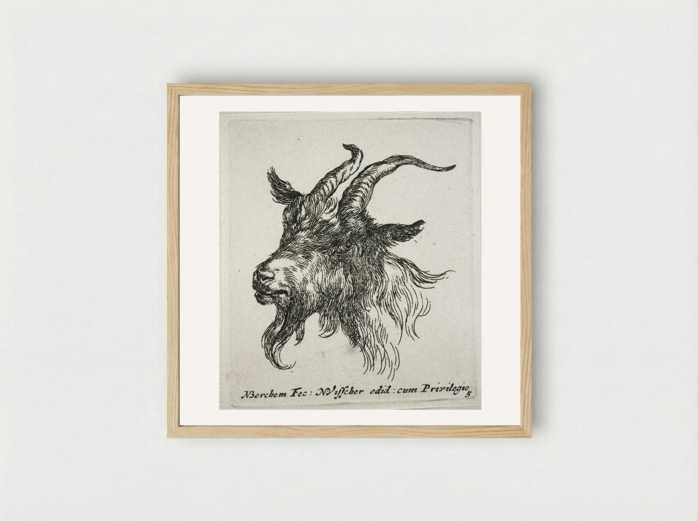 Head of a Goat Looking Forward and Left - Nicolaes Berchem - Framed Print Wood