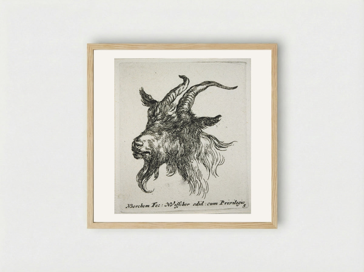 Head of a Goat Looking Forward and Left - Nicolaes Berchem - Framed Print Wood