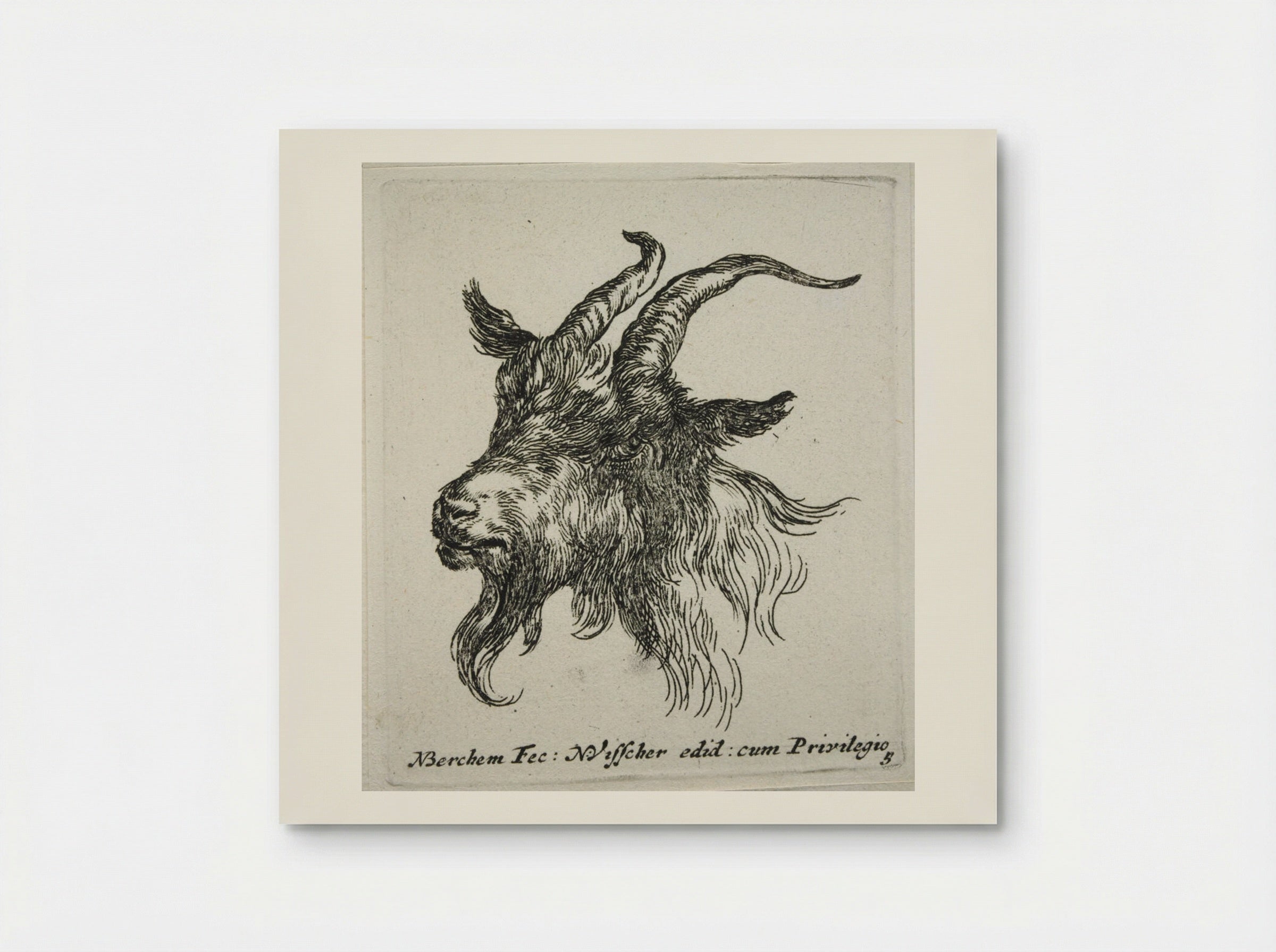 Head of a Goat Looking Forward and Left - Nicolaes Berchem - Poster
