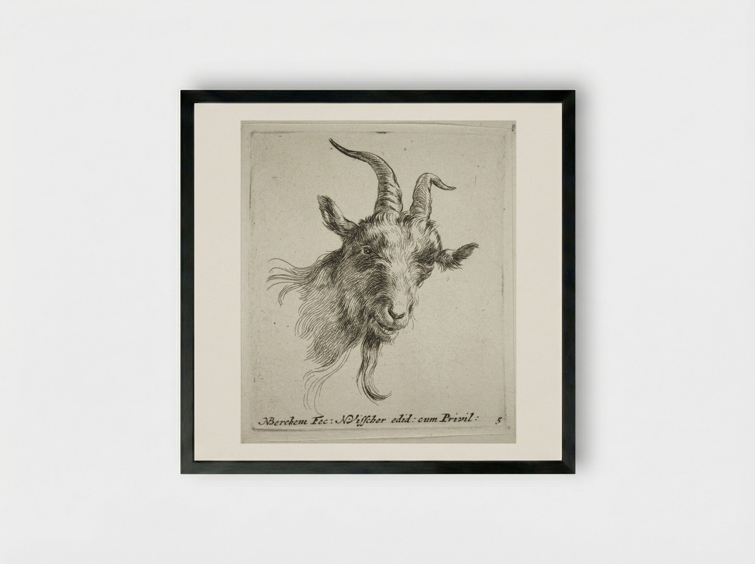 Head of a Goat Looking Forward and Right - Nicolaes Berchem - Framed Print Black