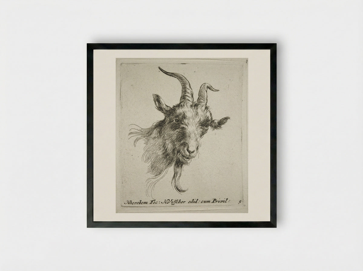 Head of a Goat Looking Forward and Right - Nicolaes Berchem - Framed Print Black