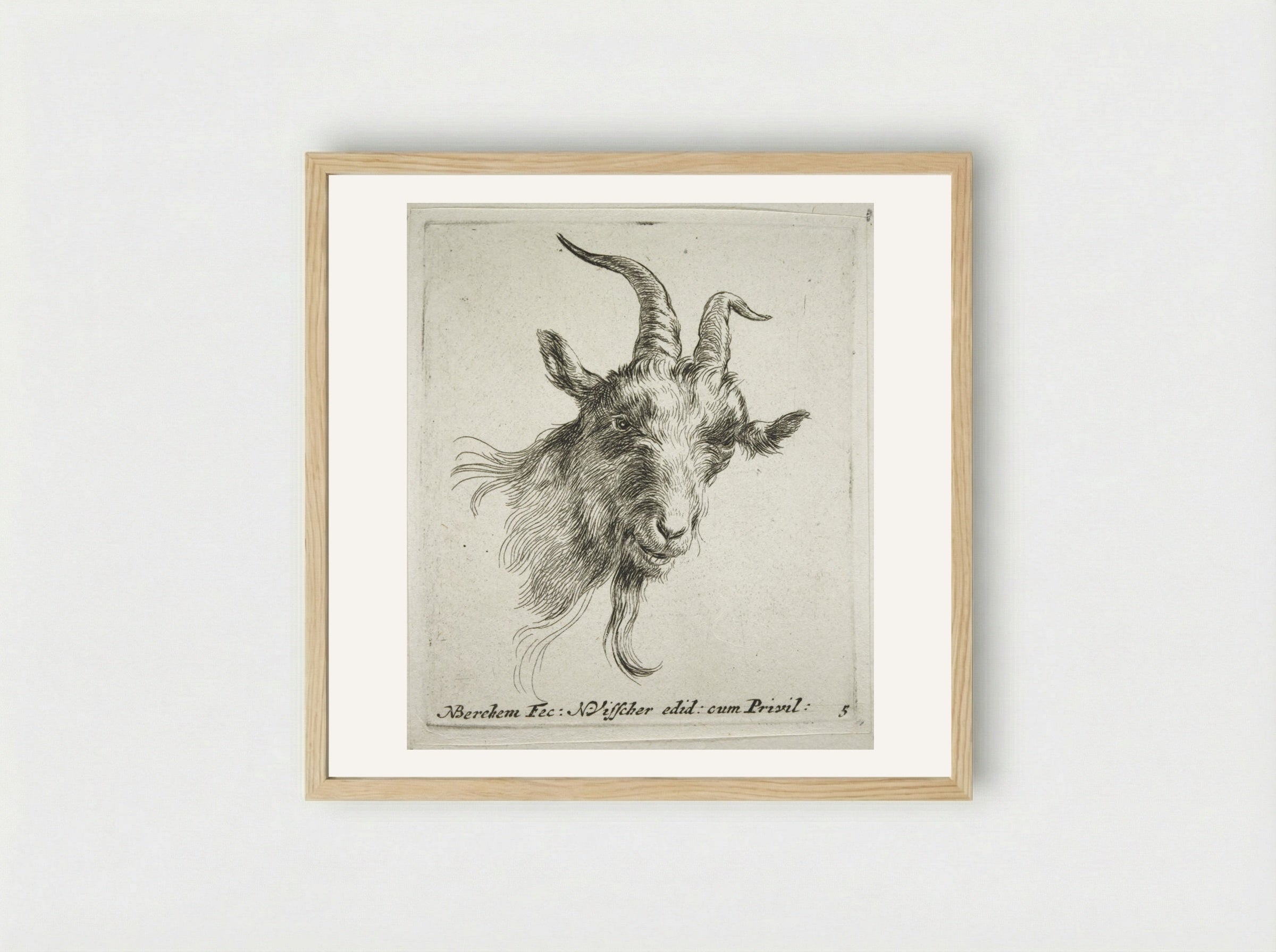 Head of a Goat Looking Forward and Right - Nicolaes Berchem - Framed Print Wood