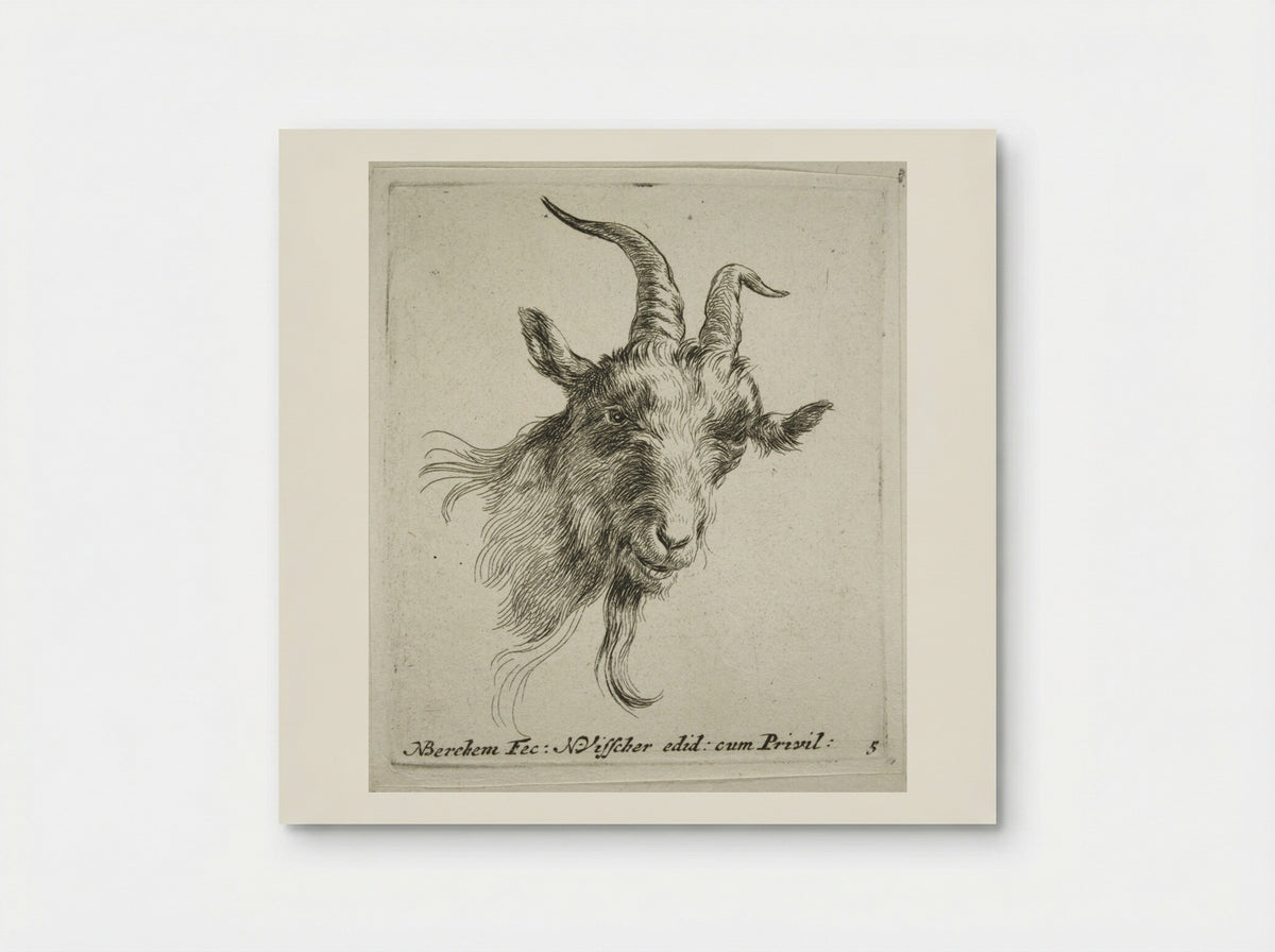 Head of a Goat Looking Forward and Right - Nicolaes Berchem - Poster