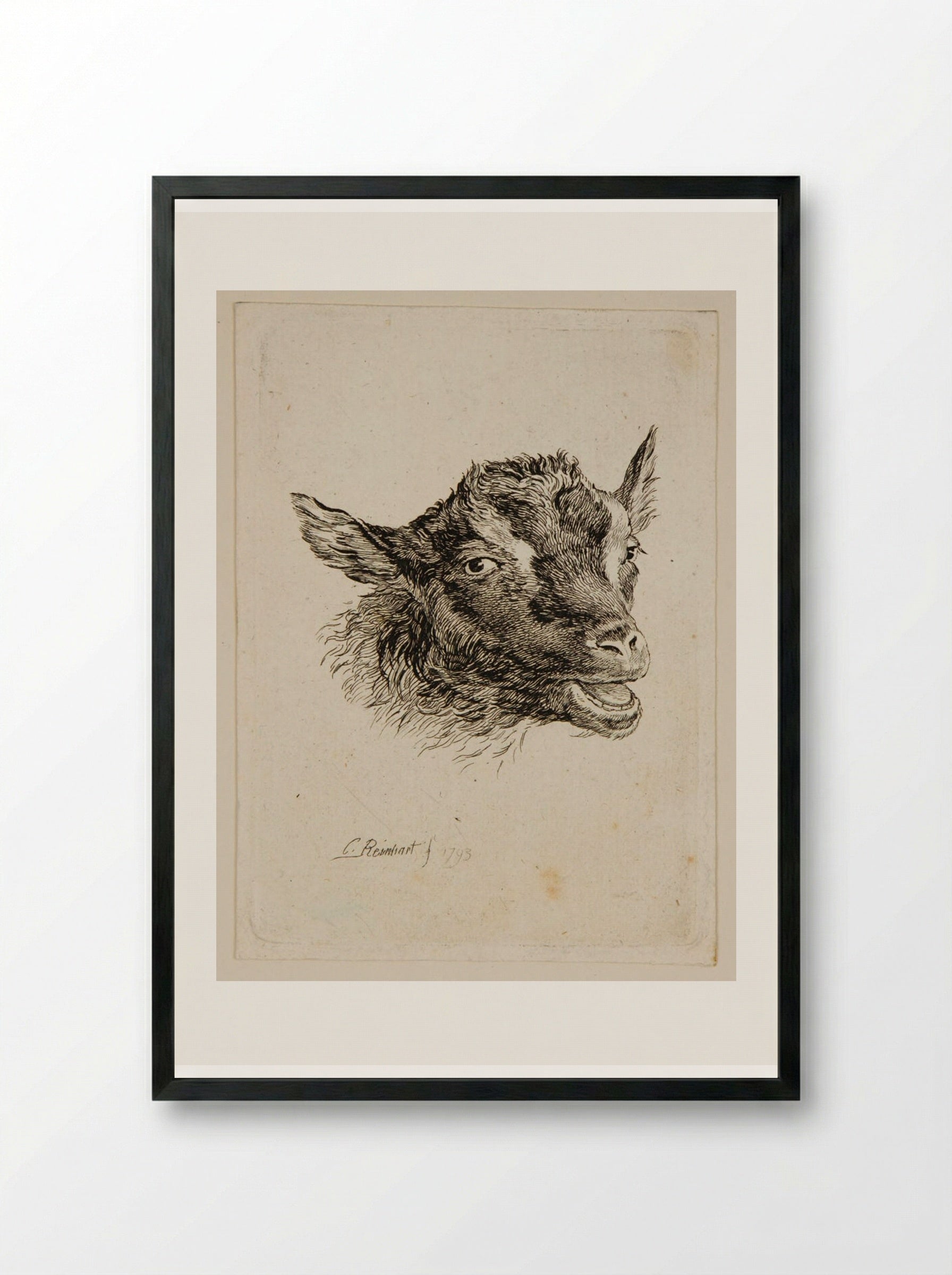 Head of a Goat - Johann Christian Reinhart - Framed Print Black