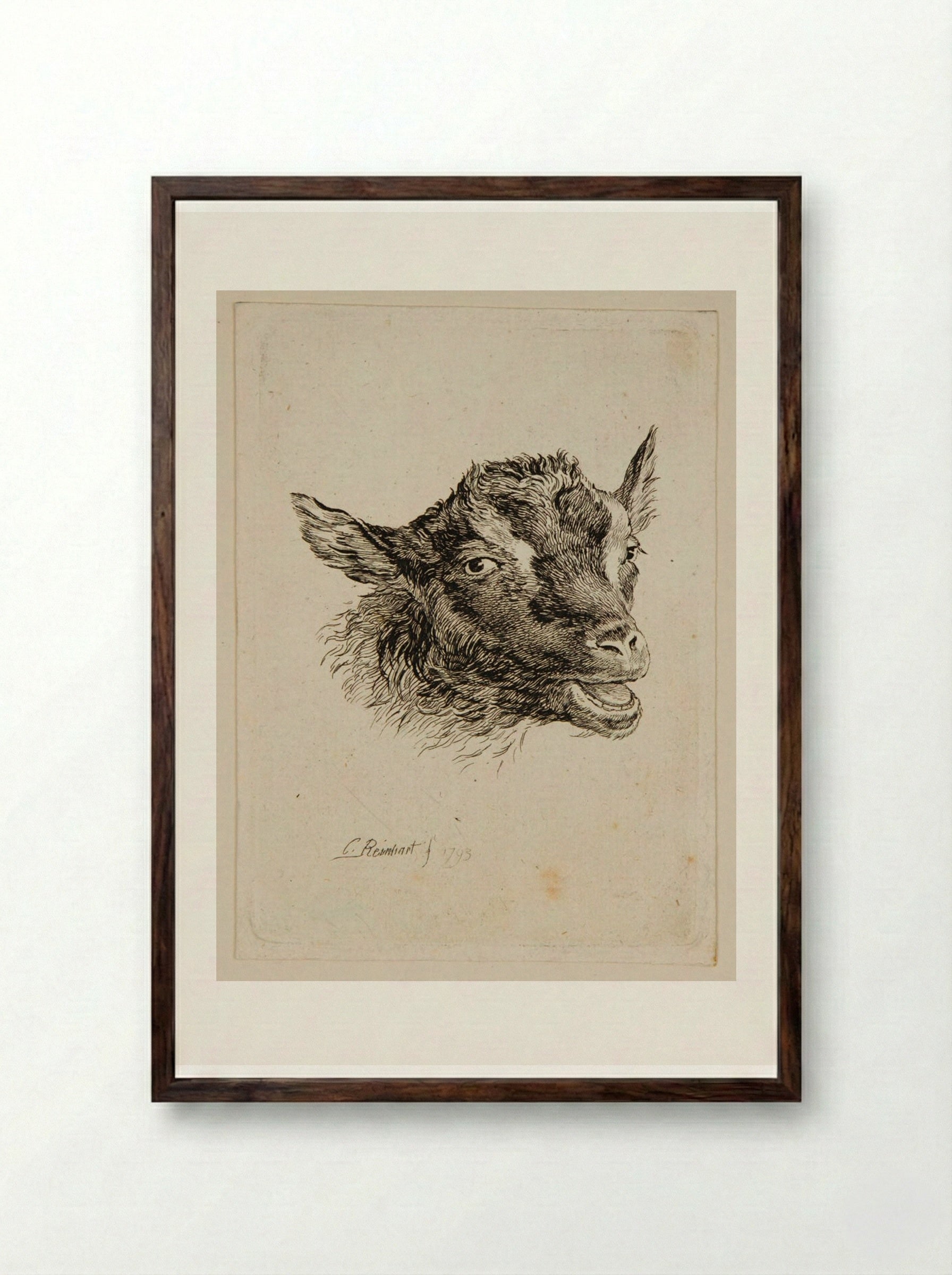 Head of a Goat - Johann Christian Reinhart - Framed Print Dark Wood