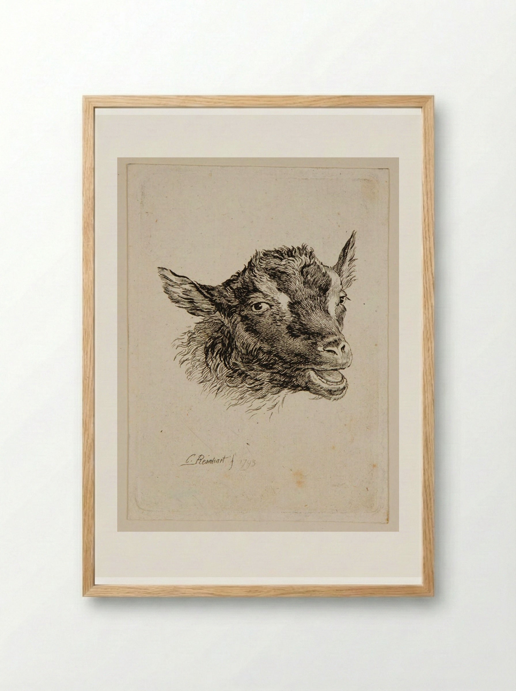 Head of a Goat - Johann Christian Reinhart - Framed Print Wood