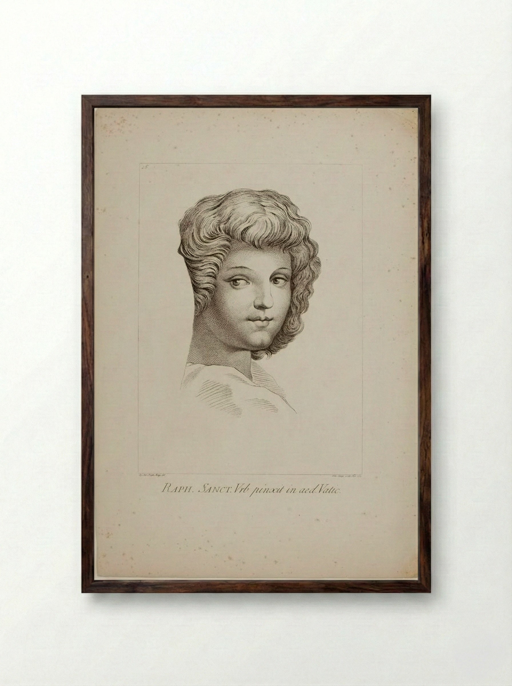 Head of a Youth, from Raphael's School of Athens - Domenico Cunego - Framed Print Dark Wood