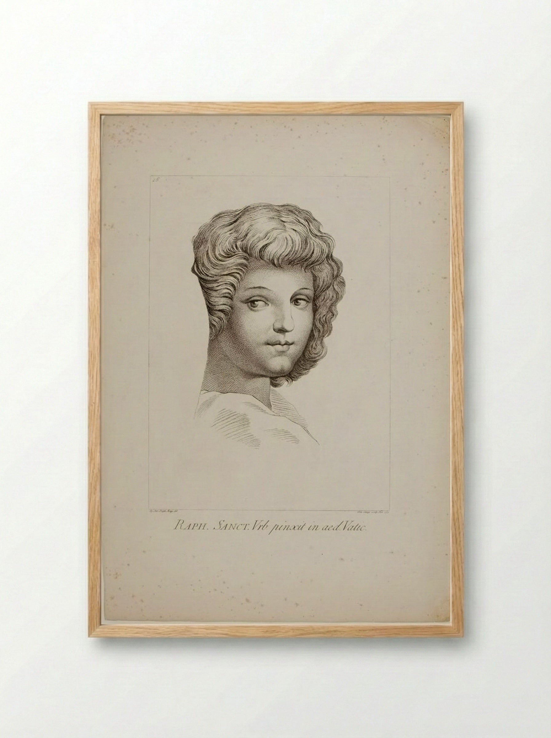 Head of a Youth, from Raphael's School of Athens - Domenico Cunego - Framed Print Wood