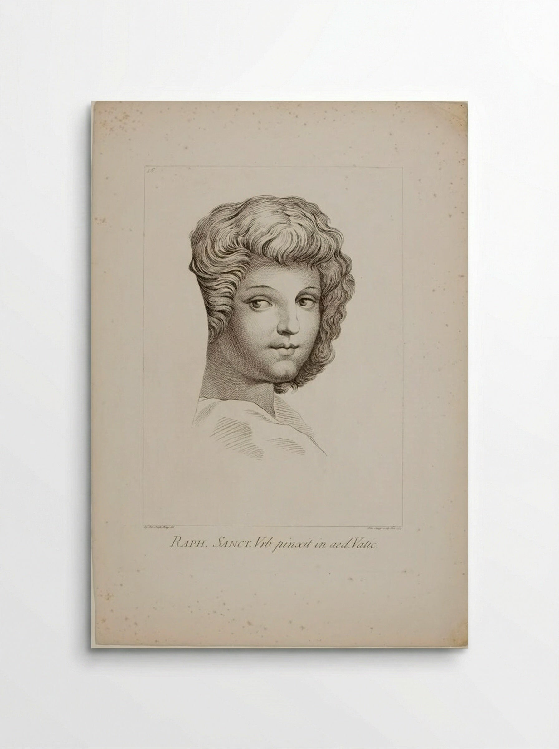 Head of a Youth, from Raphael's School of Athens - Domenico Cunego - Poster