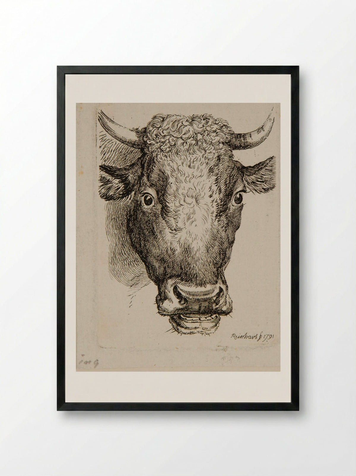 Head of an Ox - Johann Christian Reinhart - Framed Print Black