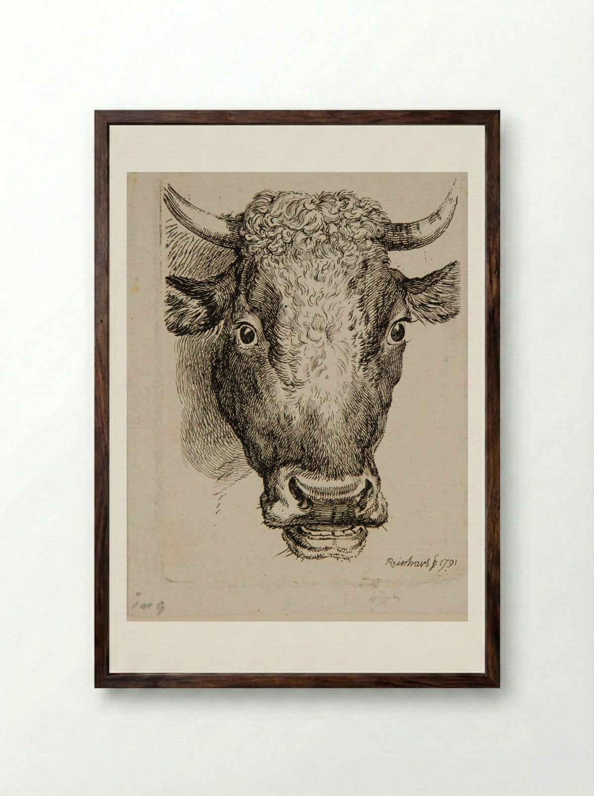 Head of an Ox - Johann Christian Reinhart - Framed Print Dark Wood