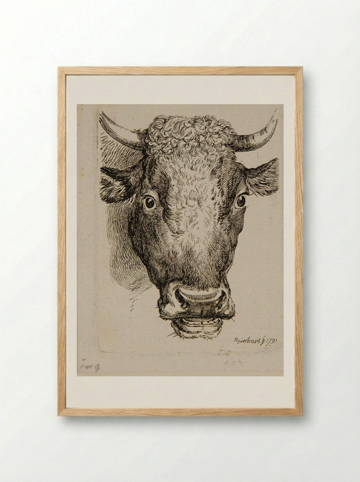 Head of an Ox - Johann Christian Reinhart - Framed Print Wood