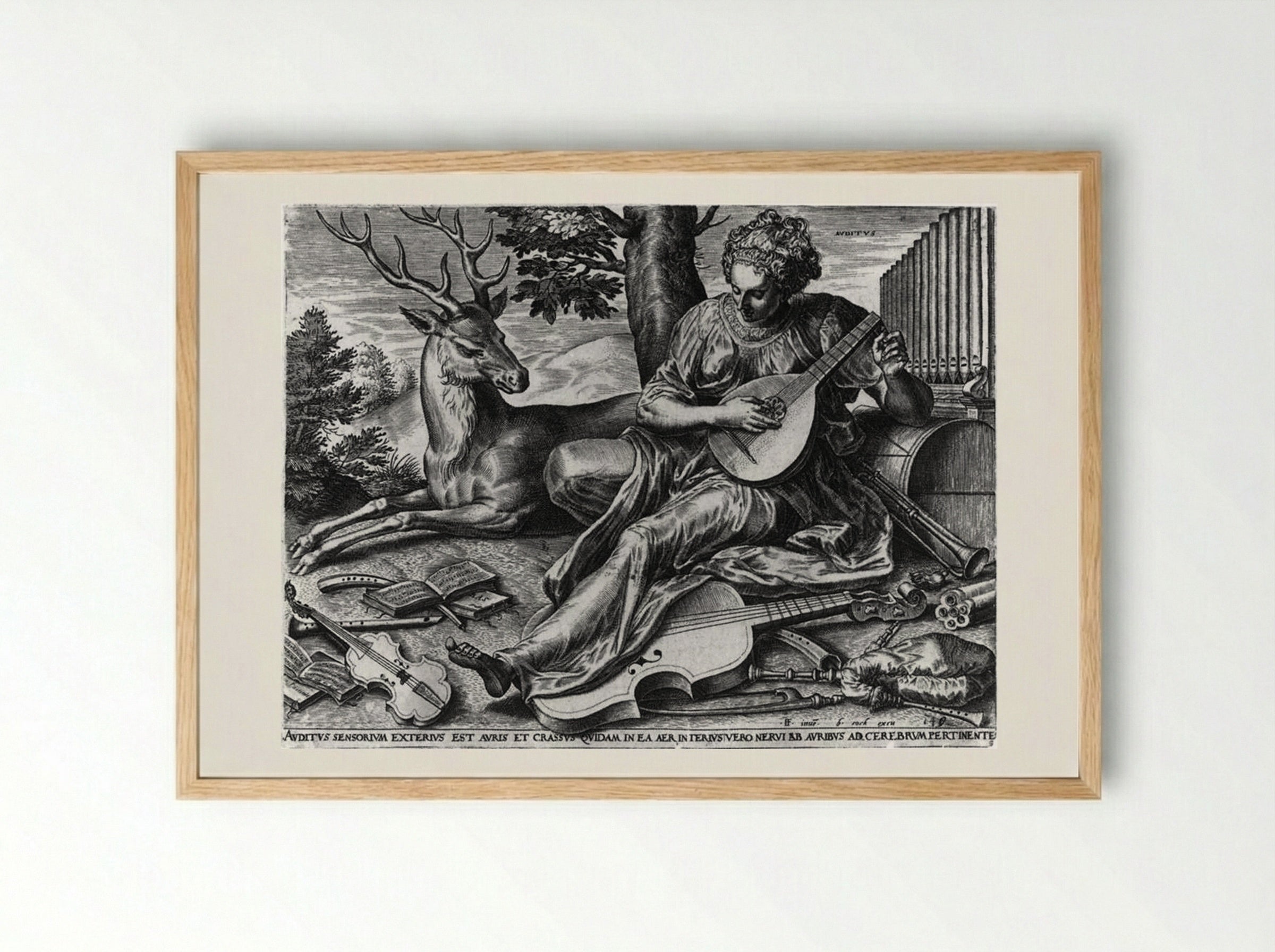 Hearing (Auditus) - Cornelis Cort - Framed Print Wood
