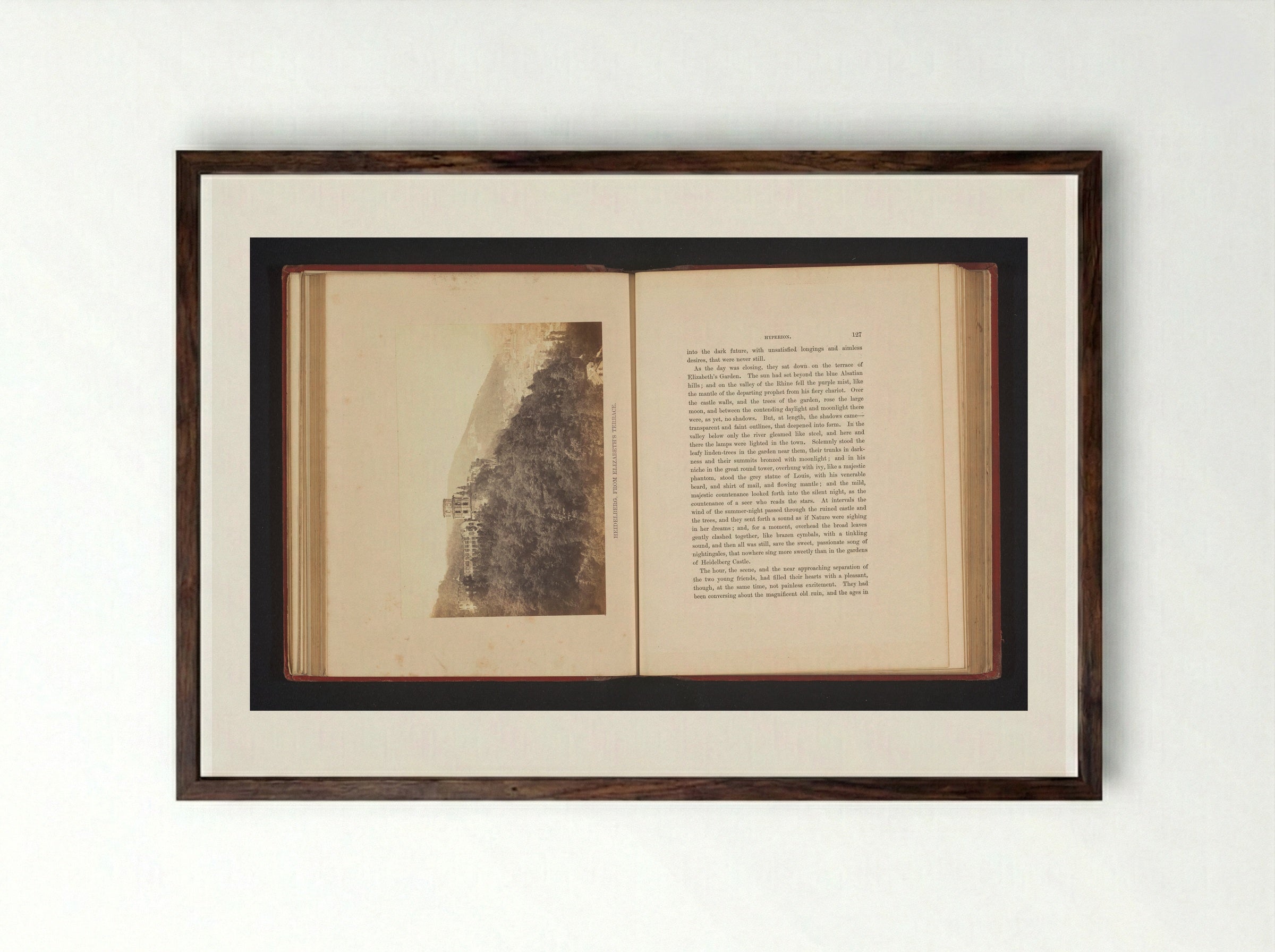 Heidelberg, from Elizabeth's Terrace - Francis Frith - Framed Print Dark Wood