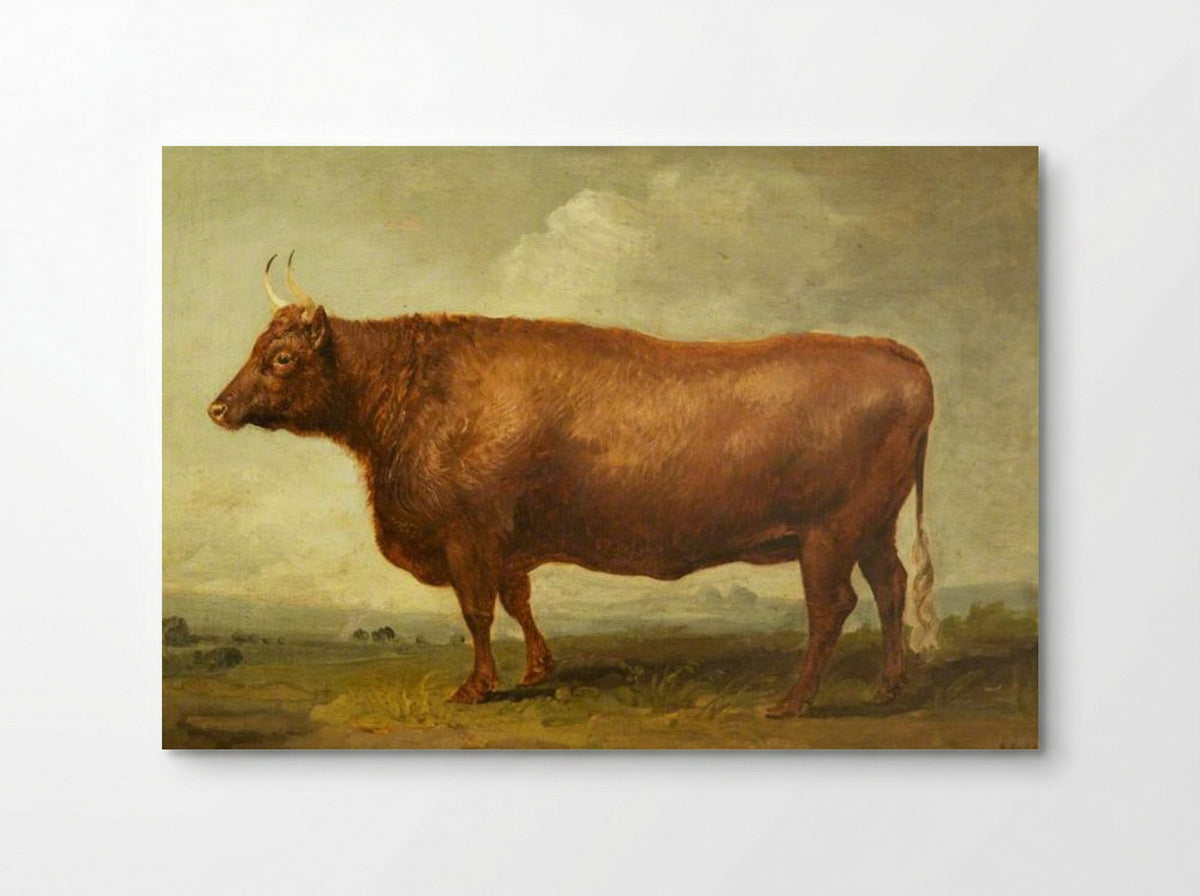 Heifer - James Ward - Poster
