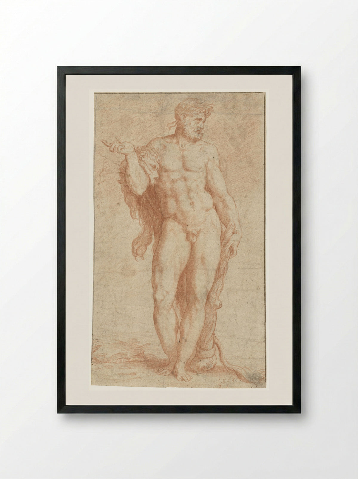 Hercules - Monogrammist CS - Framed Print Black