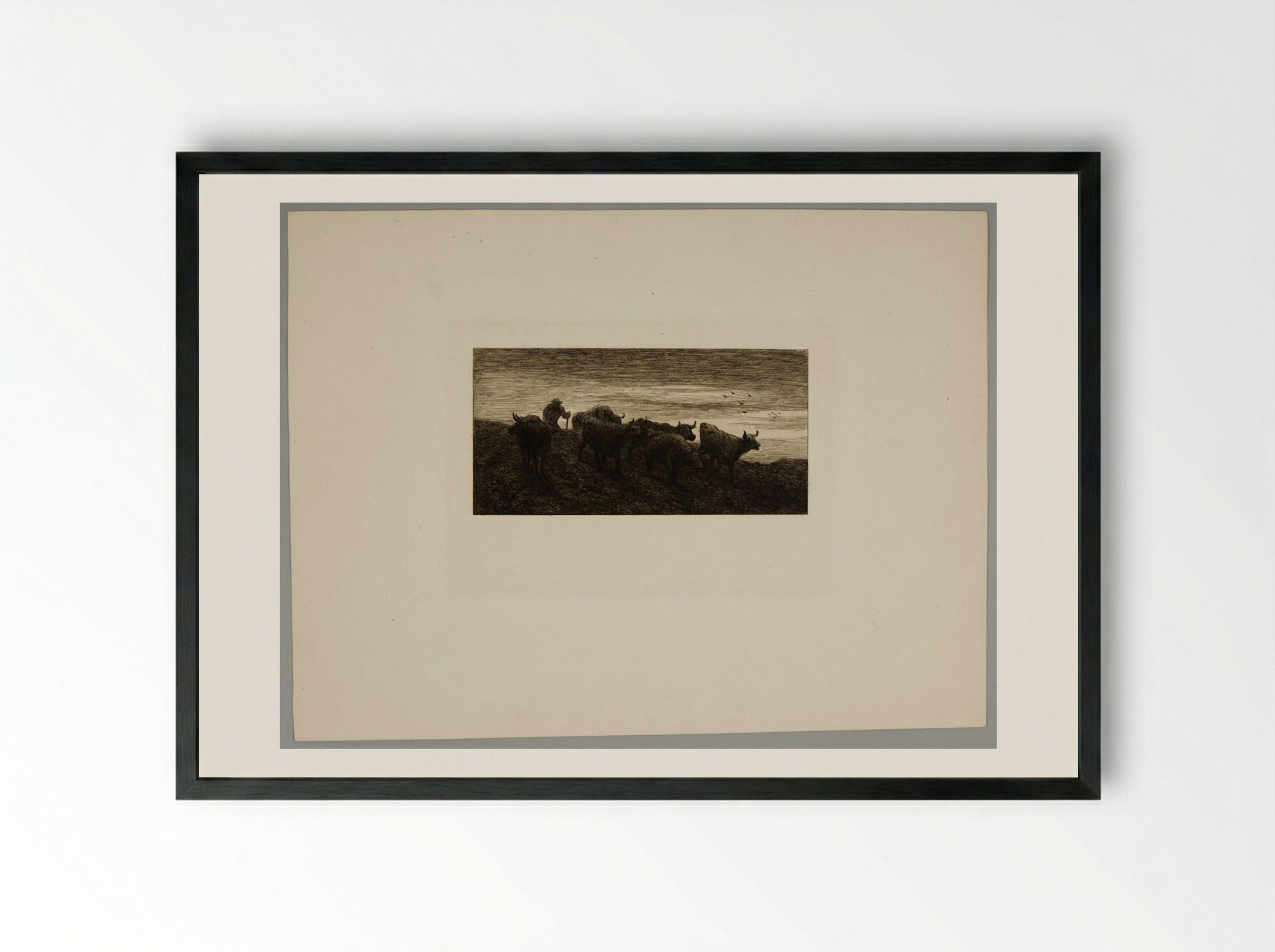 Herd of Cows - Charles-Émile Jacque - Framed Print Black