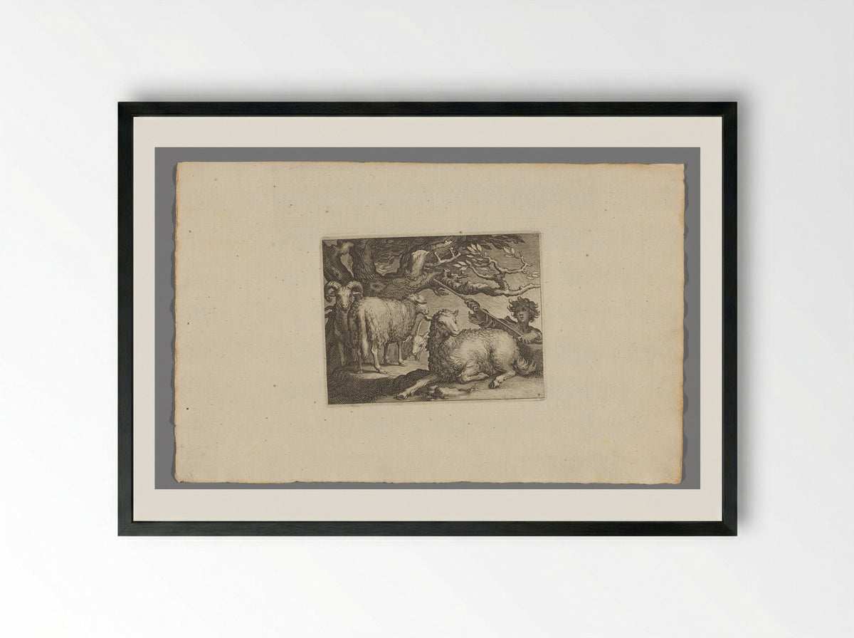 Herder met schapen (Shepherd with Sheep) - Boëtius Adamsz. Bolswert - Framed Print Black