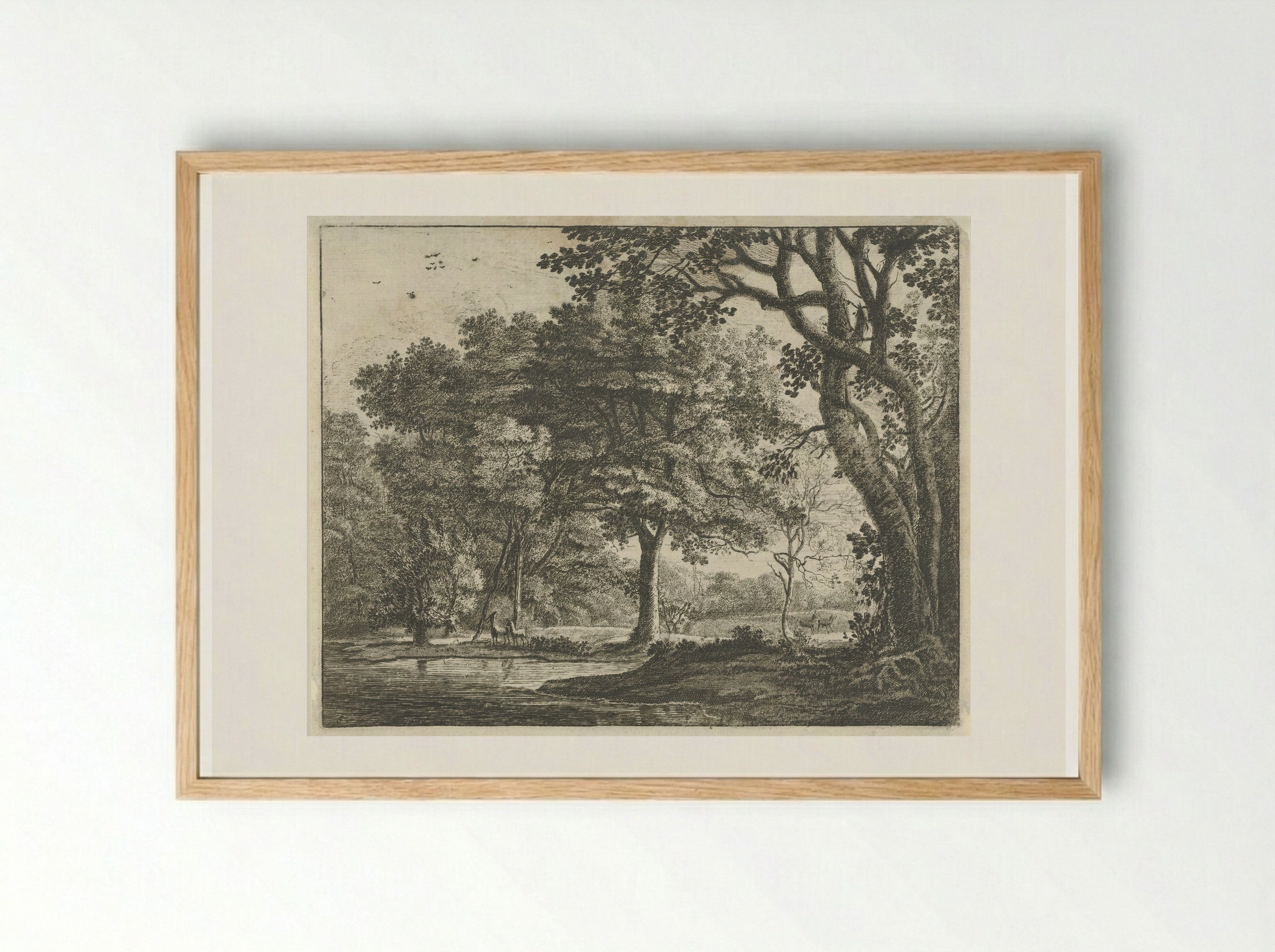 Herten in het Haagse Bos - Roelant Roghman - Framed Print Wood