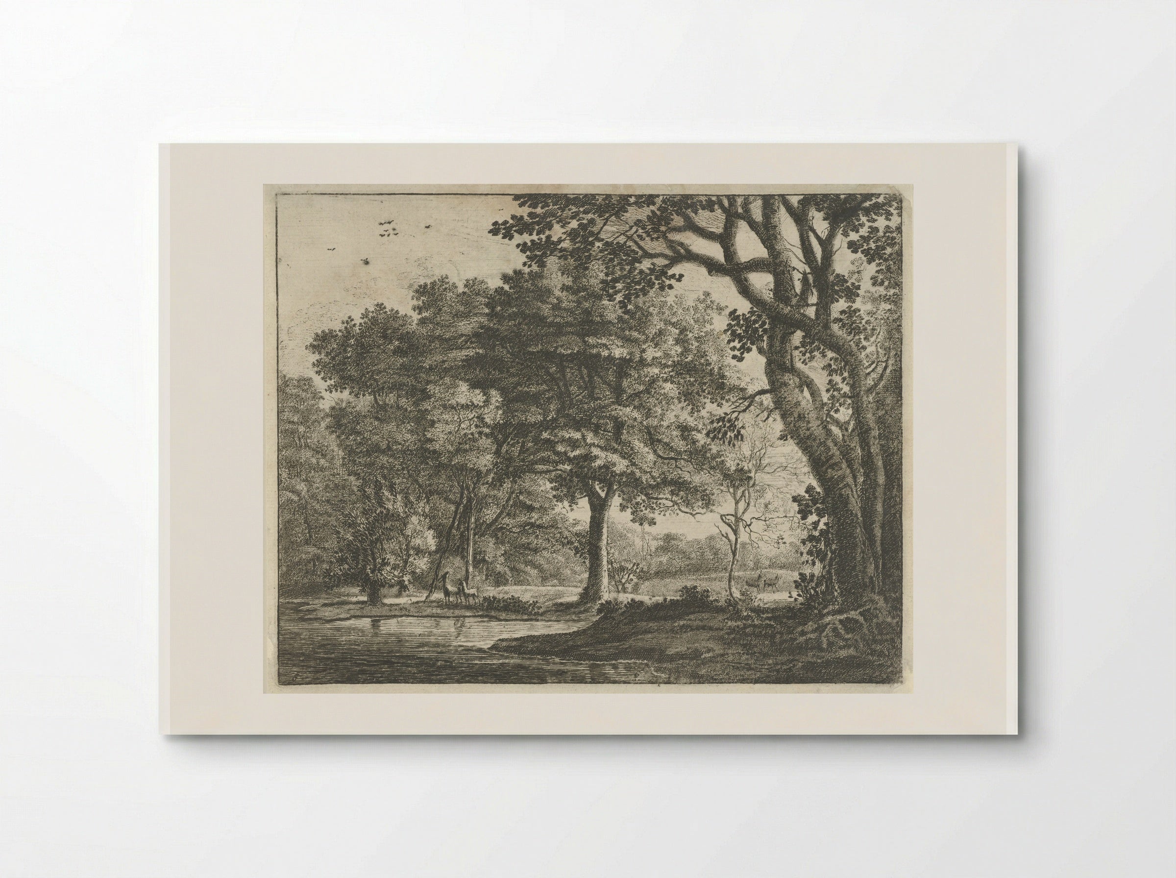 Herten in het Haagse Bos - Roelant Roghman - Poster