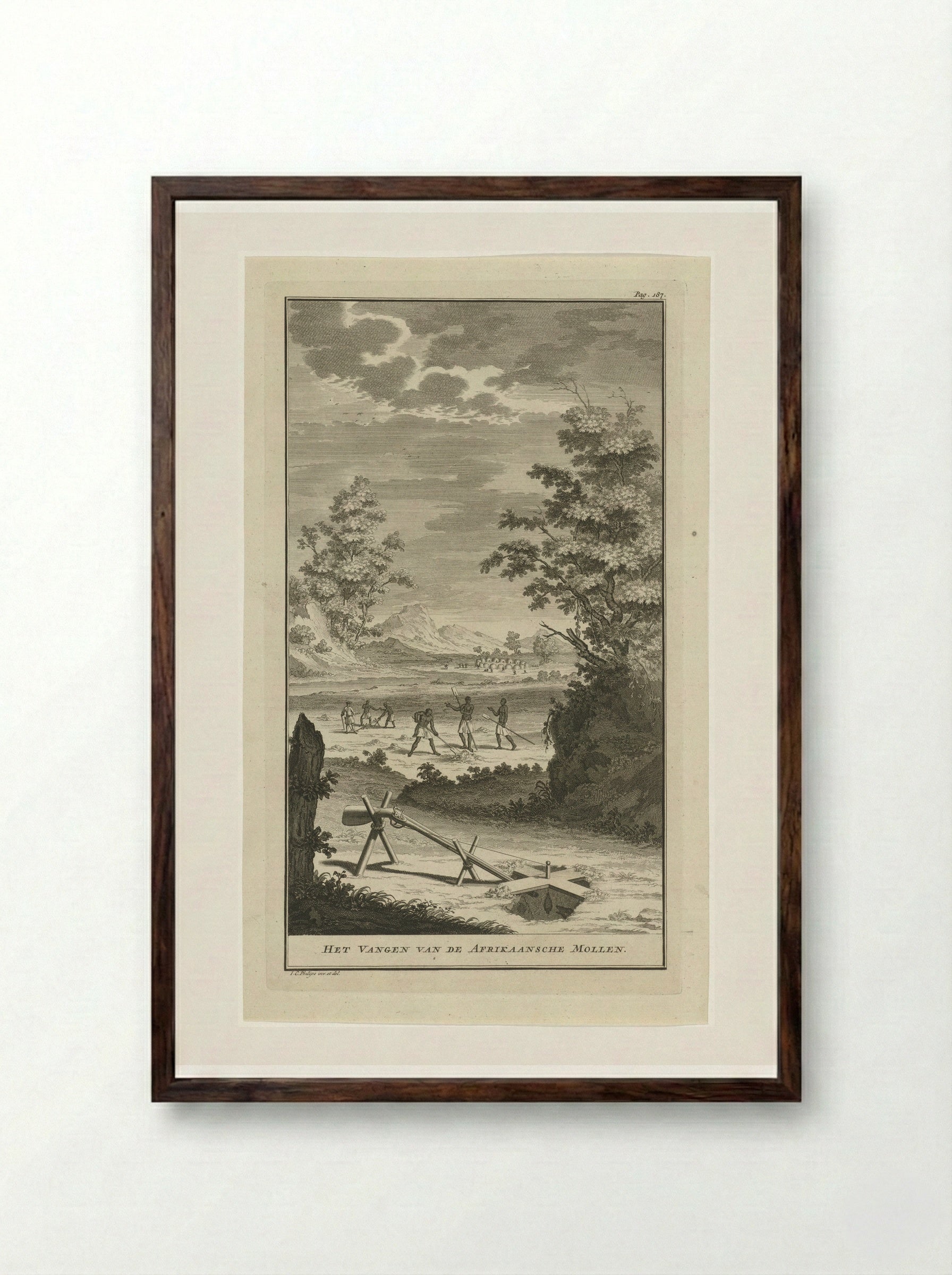 Het Vangen van de Afrikaansche Mollen - Jan Caspar Philips - Framed Print Dark Wood