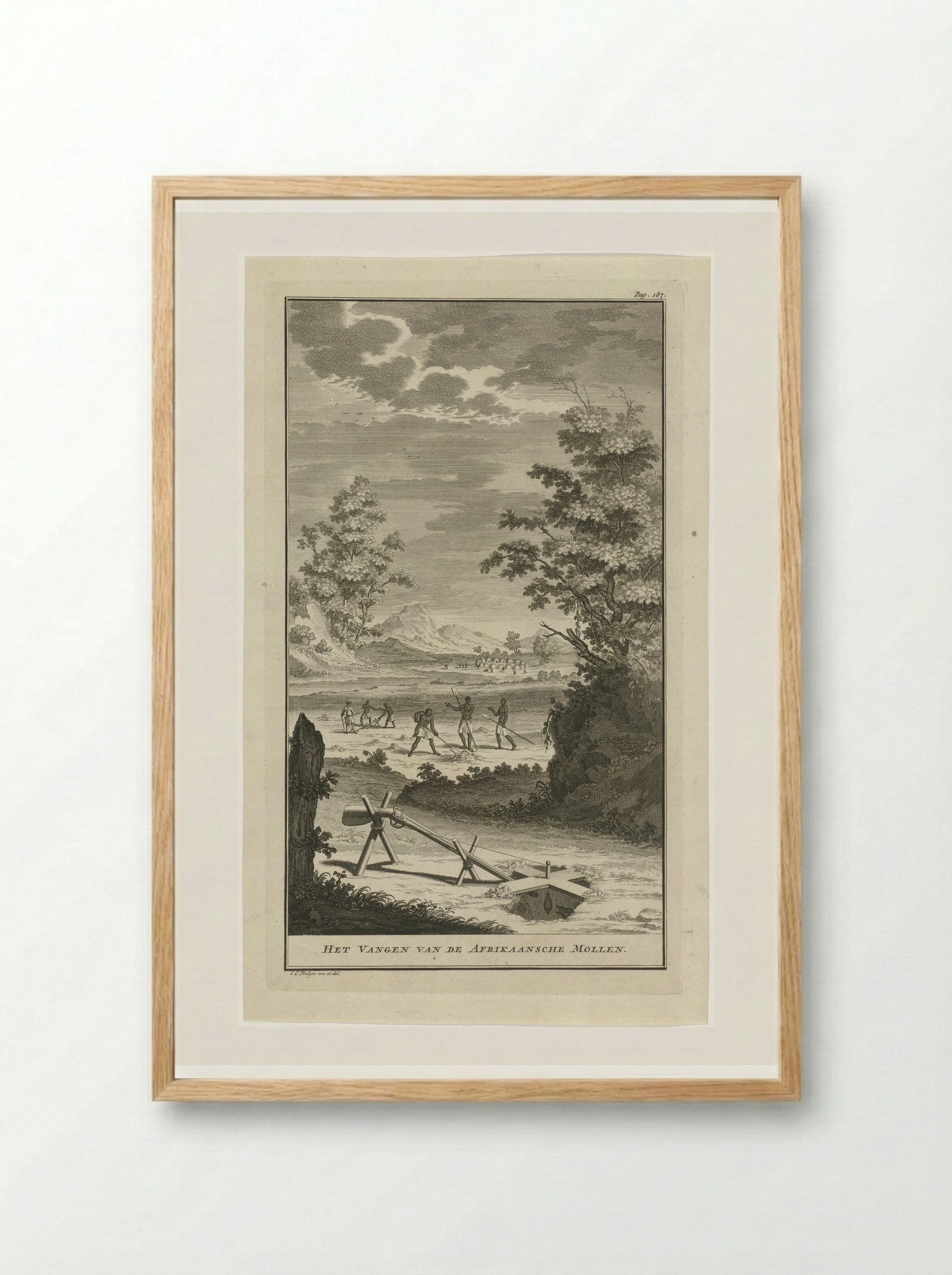 Het Vangen van de Afrikaansche Mollen - Jan Caspar Philips - Framed Print Wood