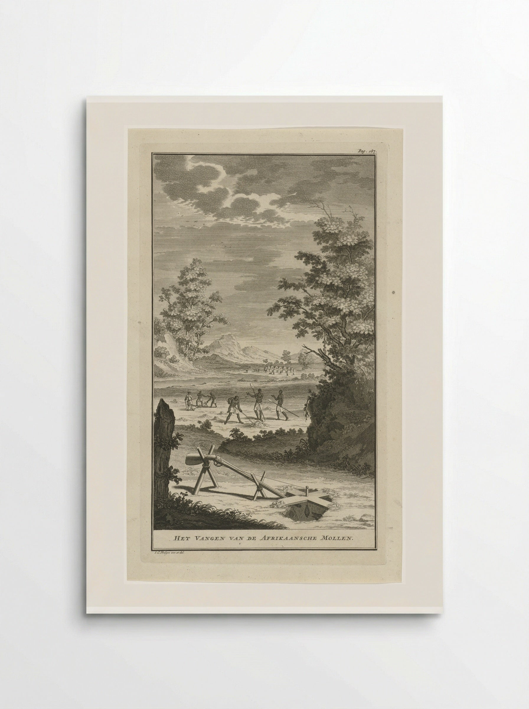 Het Vangen van de Afrikaansche Mollen - Jan Caspar Philips - Poster