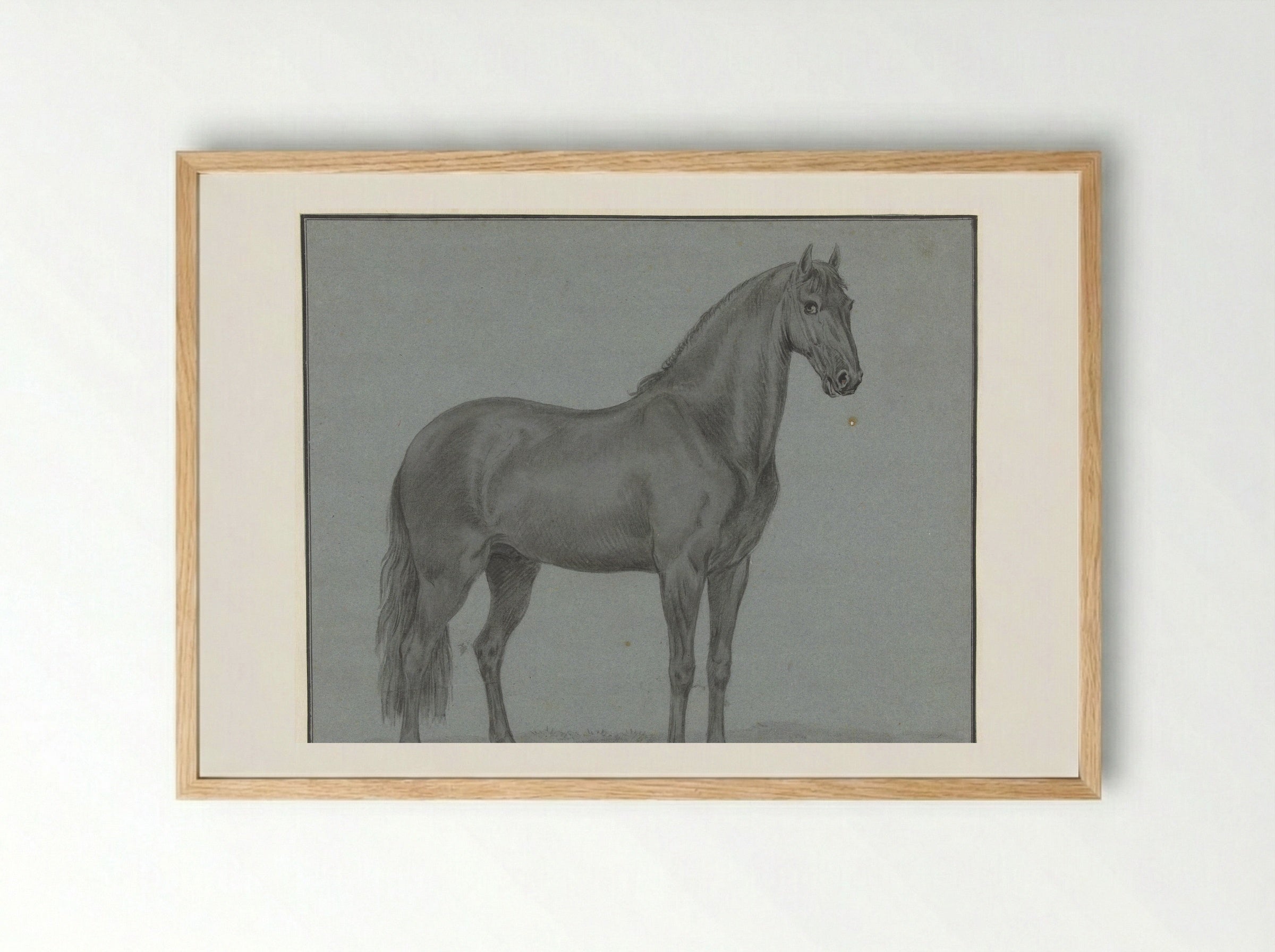 Het paard van Monsieur de Guille - Tethart Philip Christian Haag - Framed Print Wood