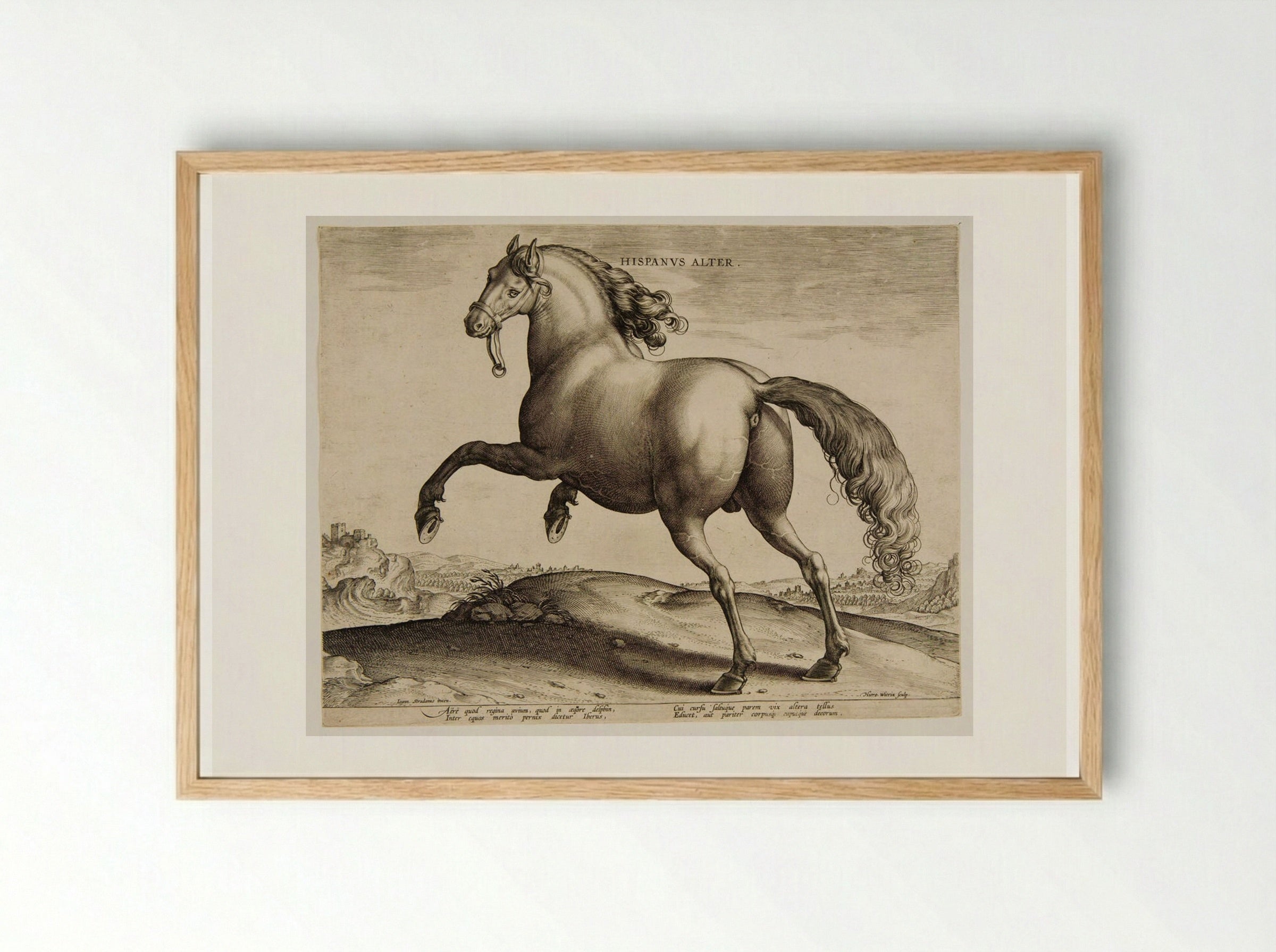 Hispanus Alter - Hieronymus Wierix - Framed Print Wood