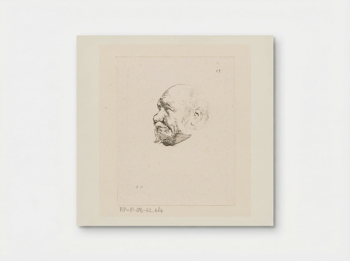 Hoofd van een kale man - Anne Claude Philippe de Tubières, comte de Caylus - Poster
