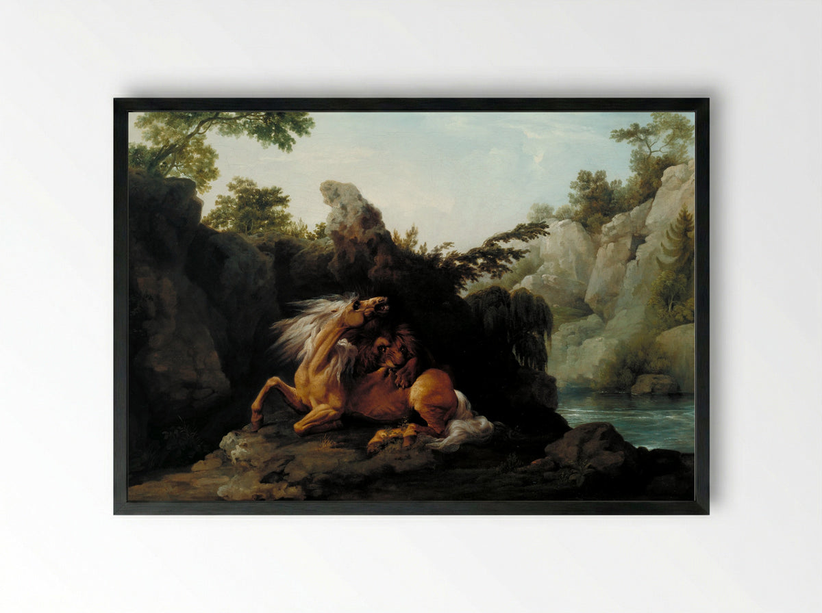 Horse Devoured by a Lion - George Stubbs - Framed Print Black