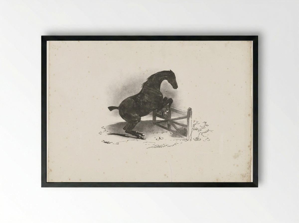 Horse Jumping Over a Fence - Jacques-Raymond Brascassat - Framed Print Black