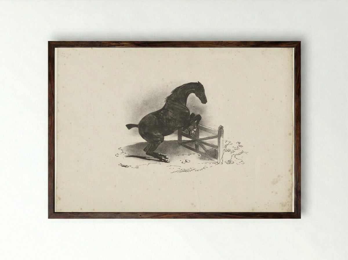 Horse Jumping Over a Fence - Jacques-Raymond Brascassat - Framed Print Dark Wood