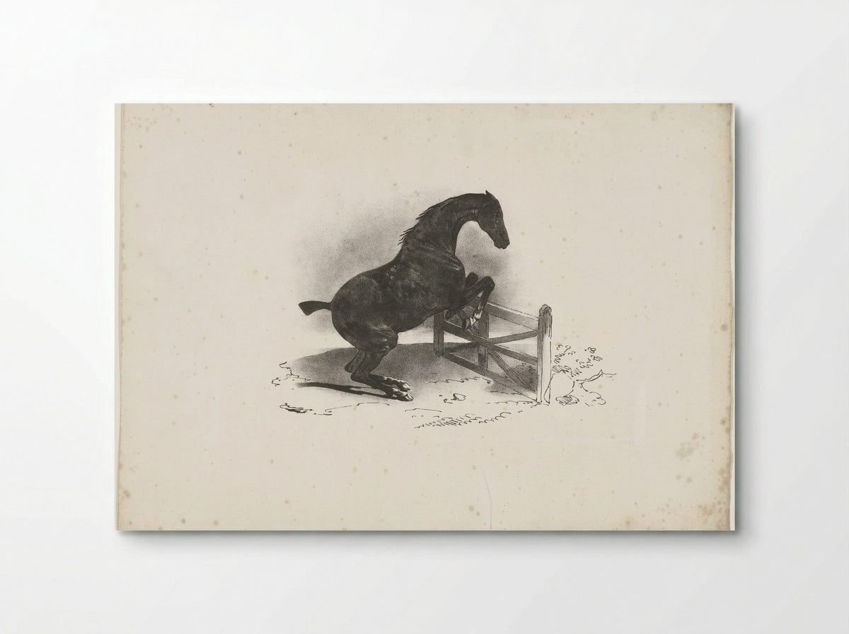 Horse Jumping Over a Fence - Jacques-Raymond Brascassat - Poster