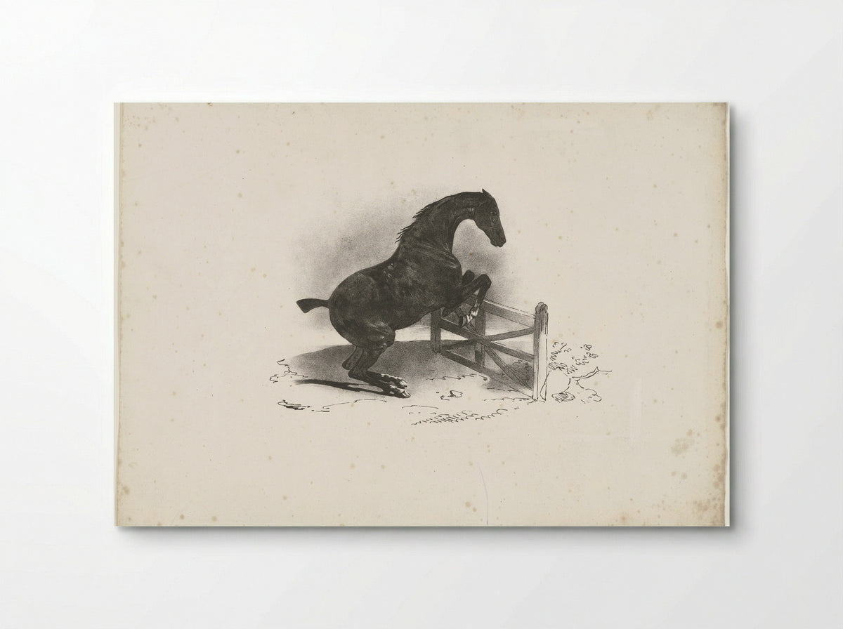 Horse Jumping Over a Fence - Jacques-Raymond Brascassat - Poster